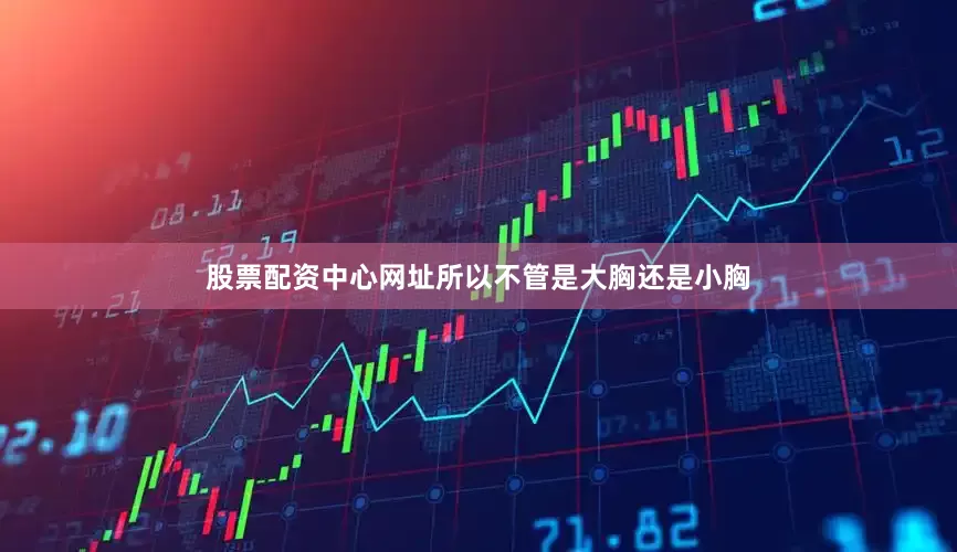 股票配资中心网址所以不管是大胸还是小胸